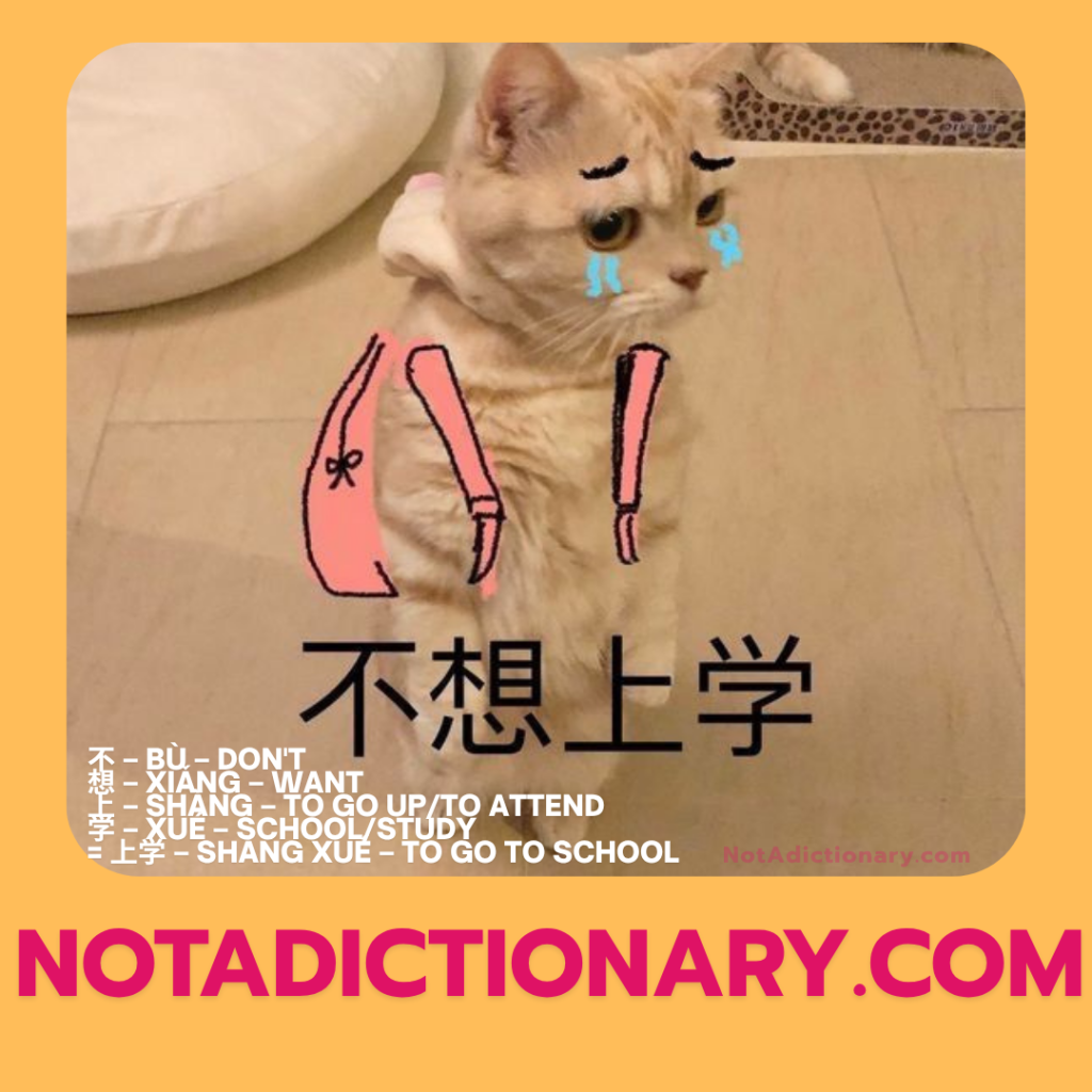 Learn english by memes on not a dictionary