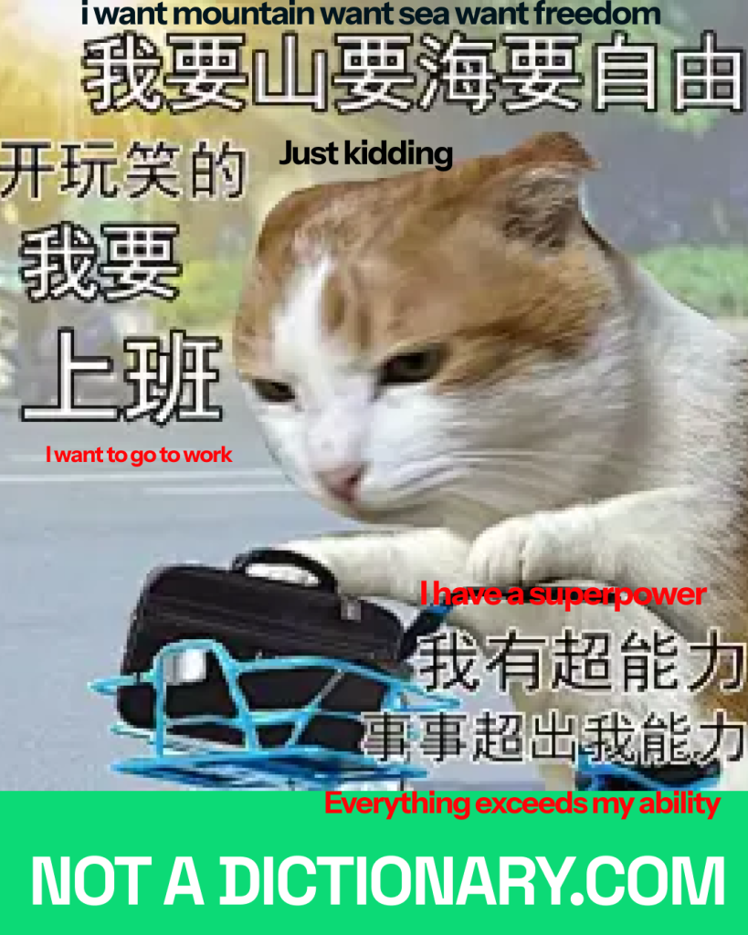 Learn Chinese memes