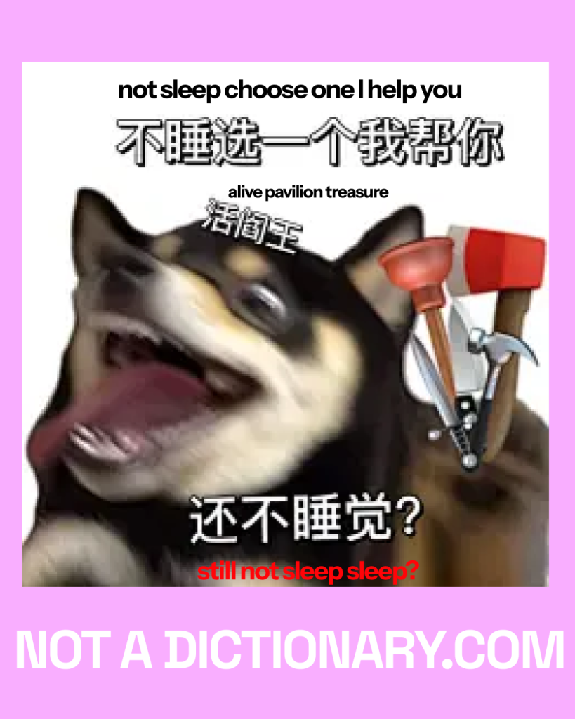 Meme text: 不睡选一个我帮你 活阁宝 还不睡觉？ — sleep teasing meme from Chinese social media