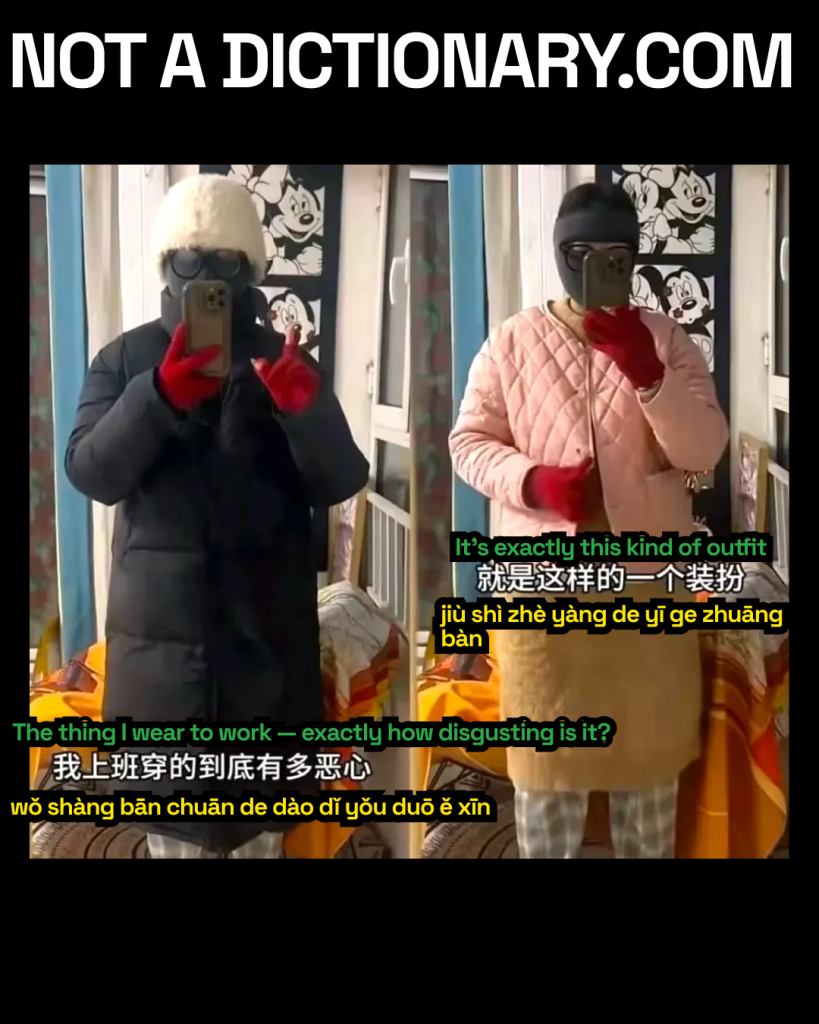 Simplified Chinese meme reading 就是这样的一个装扮 meaning "this is the outfit" on a Xiaohongshu-style background