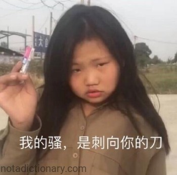 My Swagger Is a Knife to Your Heart | Learn Chinese With Memes