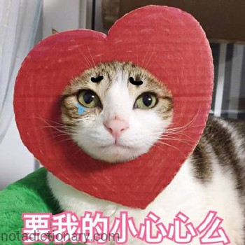 Want My Little Heart? | Learn Chinese With Memes