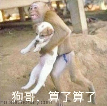Dog Brother, Forget It! | Learn Chinese With Memes