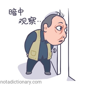 暗中观察 | Learn Chinese With Memes