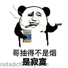 哥抽得不是烟 | Learn Chinese With Memes