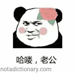 Hello, Honey | Learn Chinese With Memes
