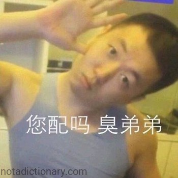 您配吗 臭弟弟 | Learn Chinese With Memes