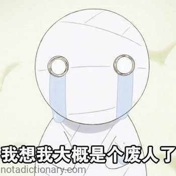 我想我大概是个废人了 | Learn Chinese With Memes