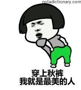 Learn Chinese With Memes: 秋裤 and Confidence