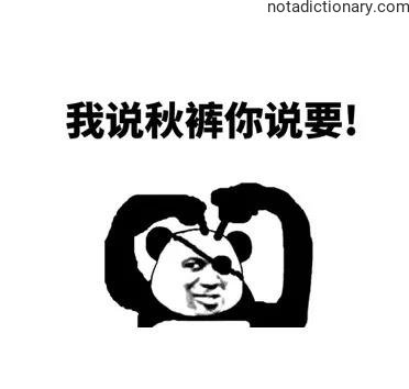 Learn Chinese With Memes: 我说秋裤你说要！