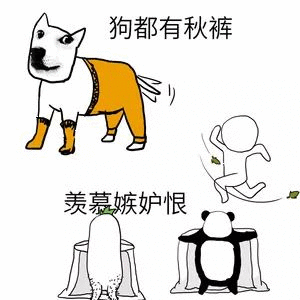 Learn Chinese With Memes: Dogs Have Thermal Pants