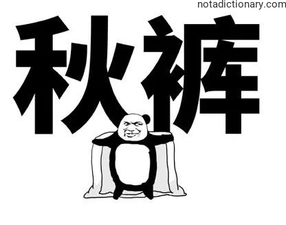 Learn Chinese With Memes: 秋裤