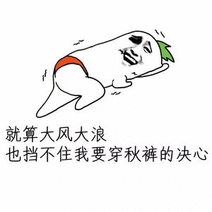 Learn Chinese With Memes: The Determination to Wear Thermal Pants