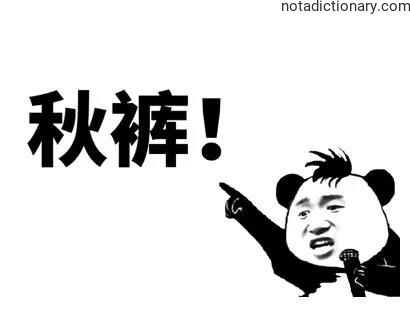 Learn Chinese With Memes: 秋裤!