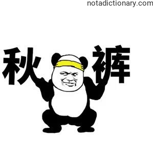 Learn Chinese With Memes: 秋裤
