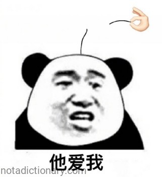 He Loves Me | Learn Chinese With Memes