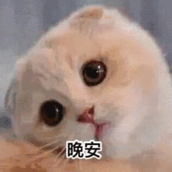 Goodnight Greeting | Learn Chinese With Memes