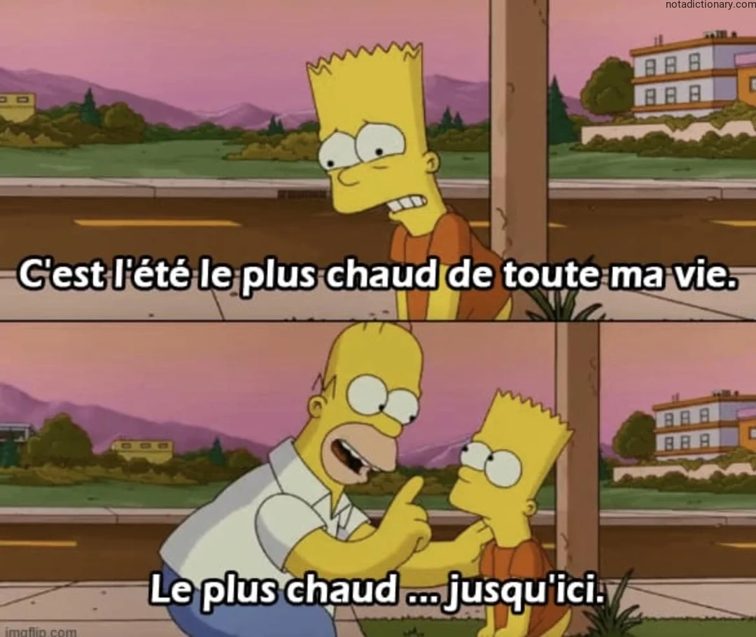 Learn French With Memes: L’Été Le Plus Chaud De Ma Vie