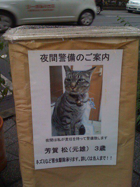Neighborhood watch | Japanese With Memes