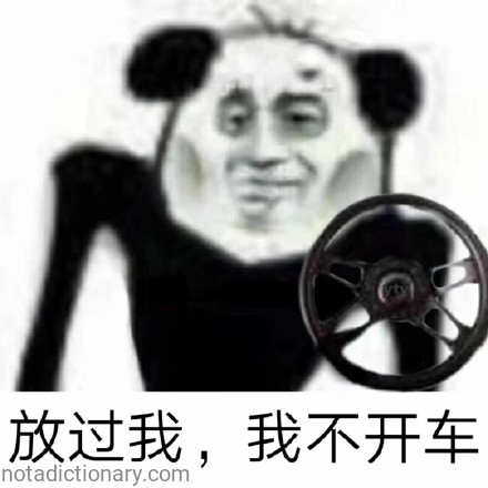 放过我，我不开车 | Learn Chinese With Memes