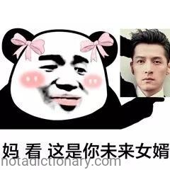 Future Son-in-Law Alert | Learn Chinese With Memes