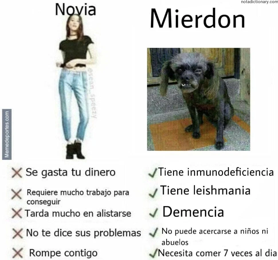 Learn Spanish With Memes: Novia vs Mierdon