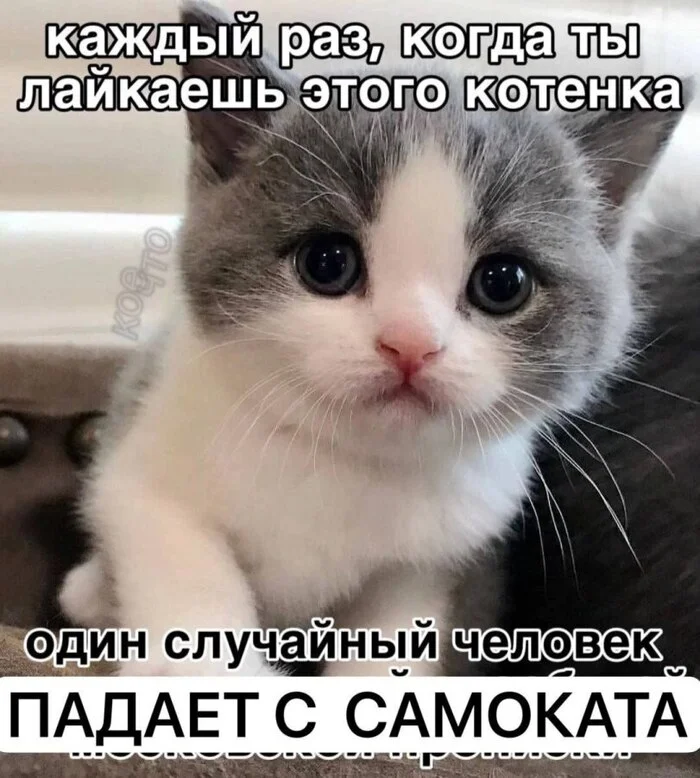 When your dopamine hit costs someone their balance! 🛴 | Russian with Memes