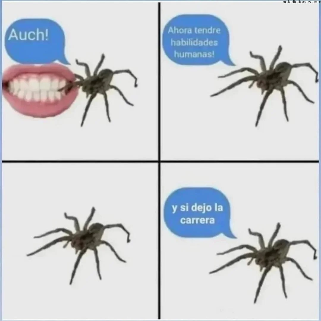 Learn Spanish With Memes: Gli Errori Che Commetto