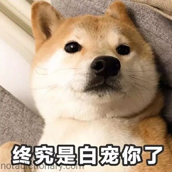 Finally Spoiled You | Learn Chinese With Memes
