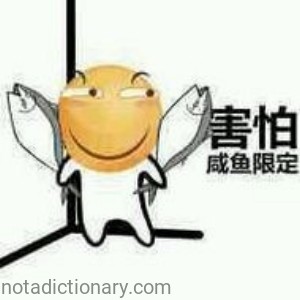 Fear of Being a Lazy Fish | Learn Chinese With Memes