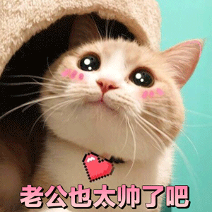 老公也太帅了吧 | Learn Chinese With Memes