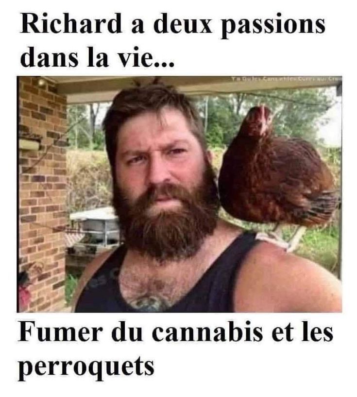 Richard’s Two Passions | Learn French With Memes