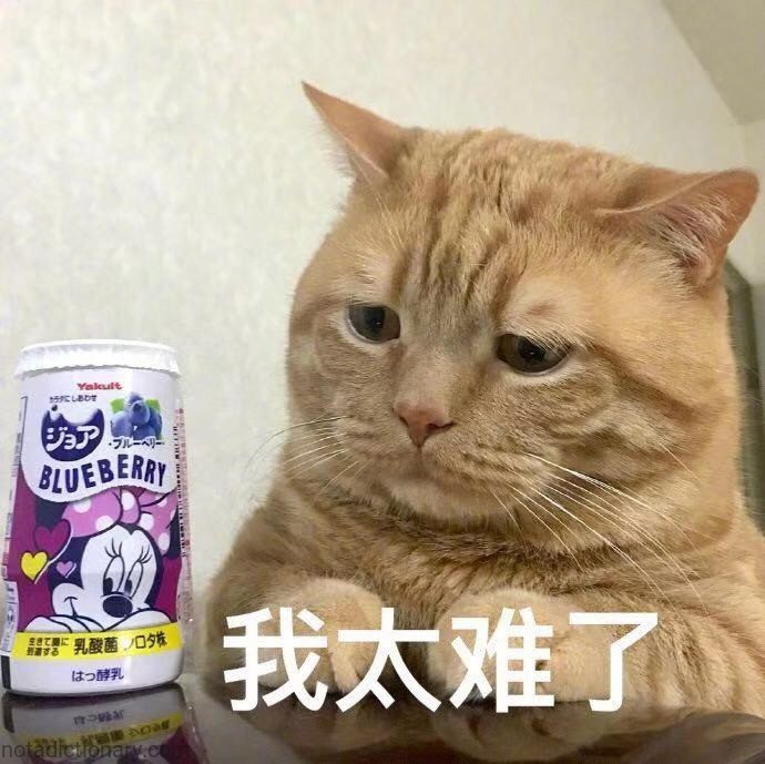 我太难了 | Learn Chinese With Memes