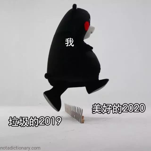 My 2019 vs 2020 | Learn Chinese With Memes