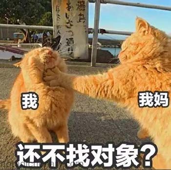 还不找对象？ | Learn Chinese With Memes