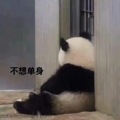 Not Wanting to Be Single | Learn Chinese With Memes