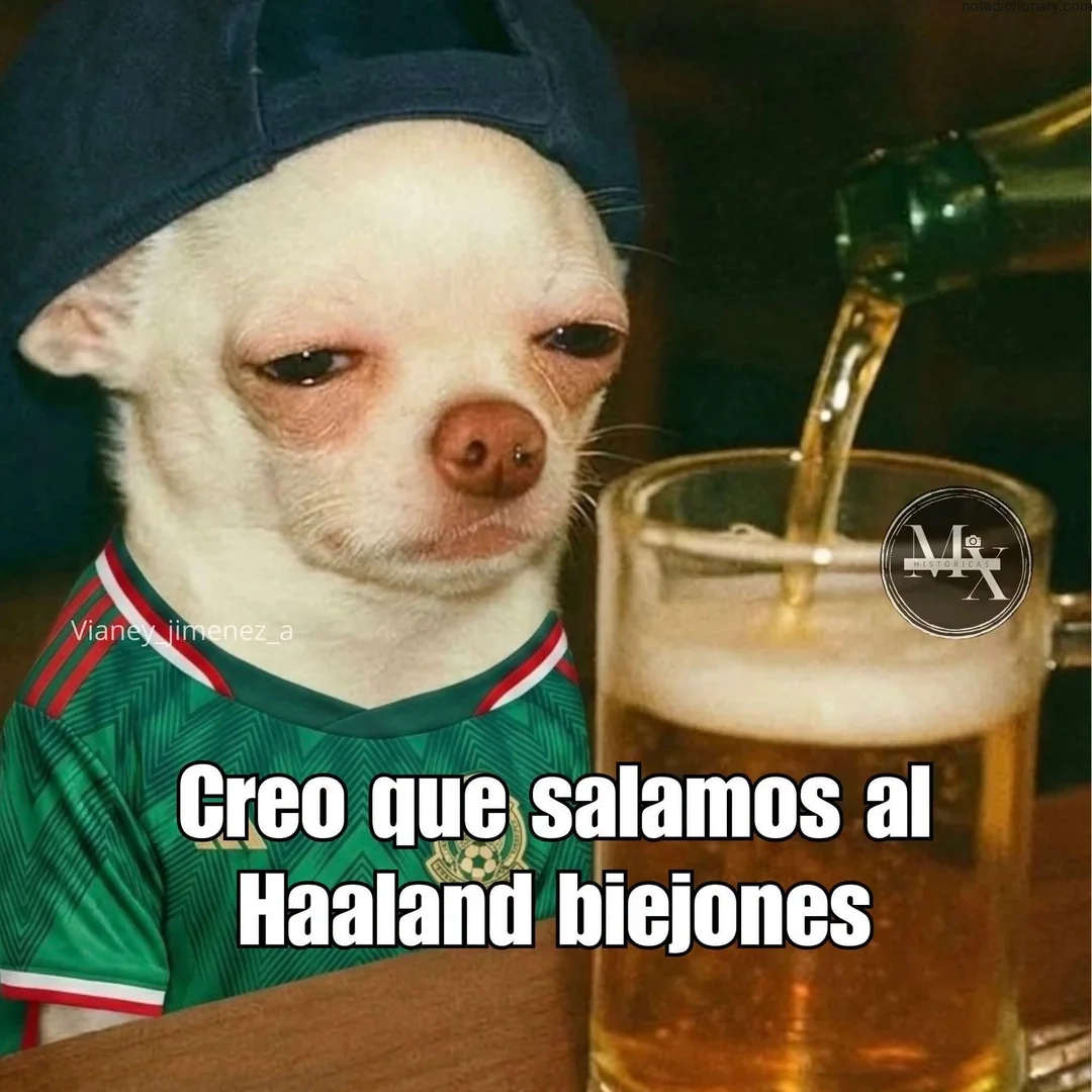 Learn Spanish With Memes: Creo que salamos al Haaland biejones