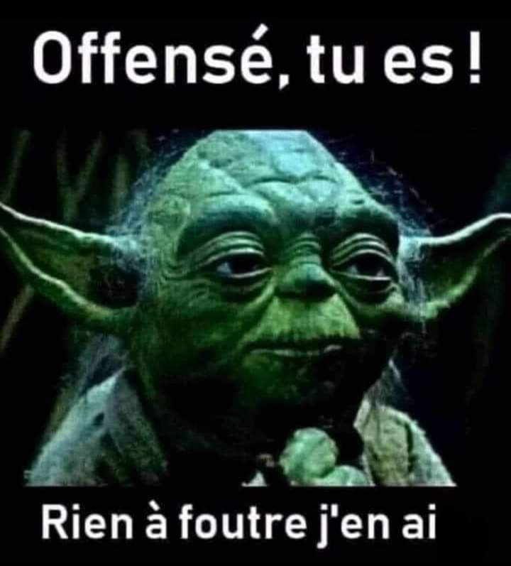 Yoda French Grammar | Learn French With Memes