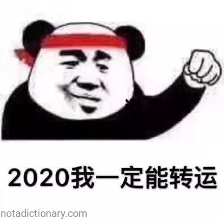2020我一定能转运 | Learn Chinese With Memes