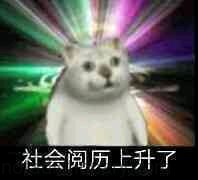 社会阅历上升了 | Learn Chinese With Memes