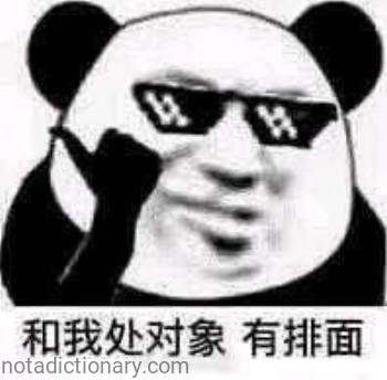 和我处对象 有排面 | Learn Chinese With Memes