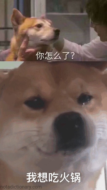 你怎么了？ | Learn Chinese With Memes