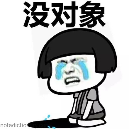 No Partner | Learn Chinese With Memes