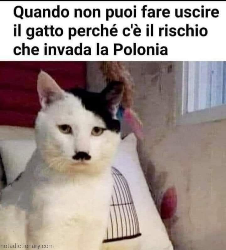 Rischio che Invada | Learn Italian With Memes