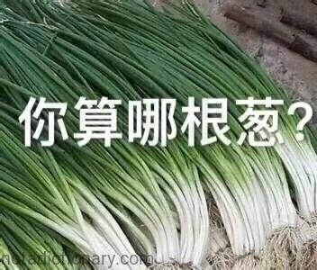 你算哪根葱？ | Learn Chinese With Memes