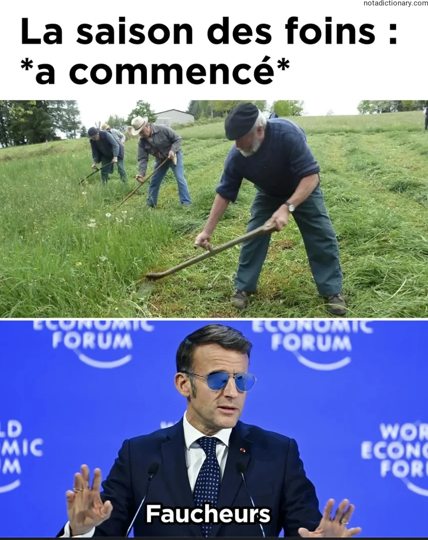 Learn French With Memes: La Saison Des Foins