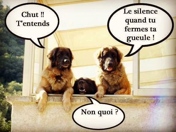 Shut Your Mouth Meme | Learn French With Memes