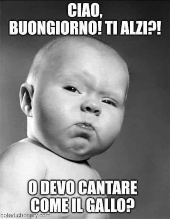 Ti Alzi o Devo Cantare | Learn Italian With Memes