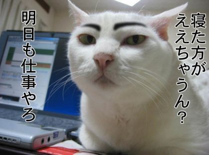 Work-life balance advice | Learn Japanese With Memes
