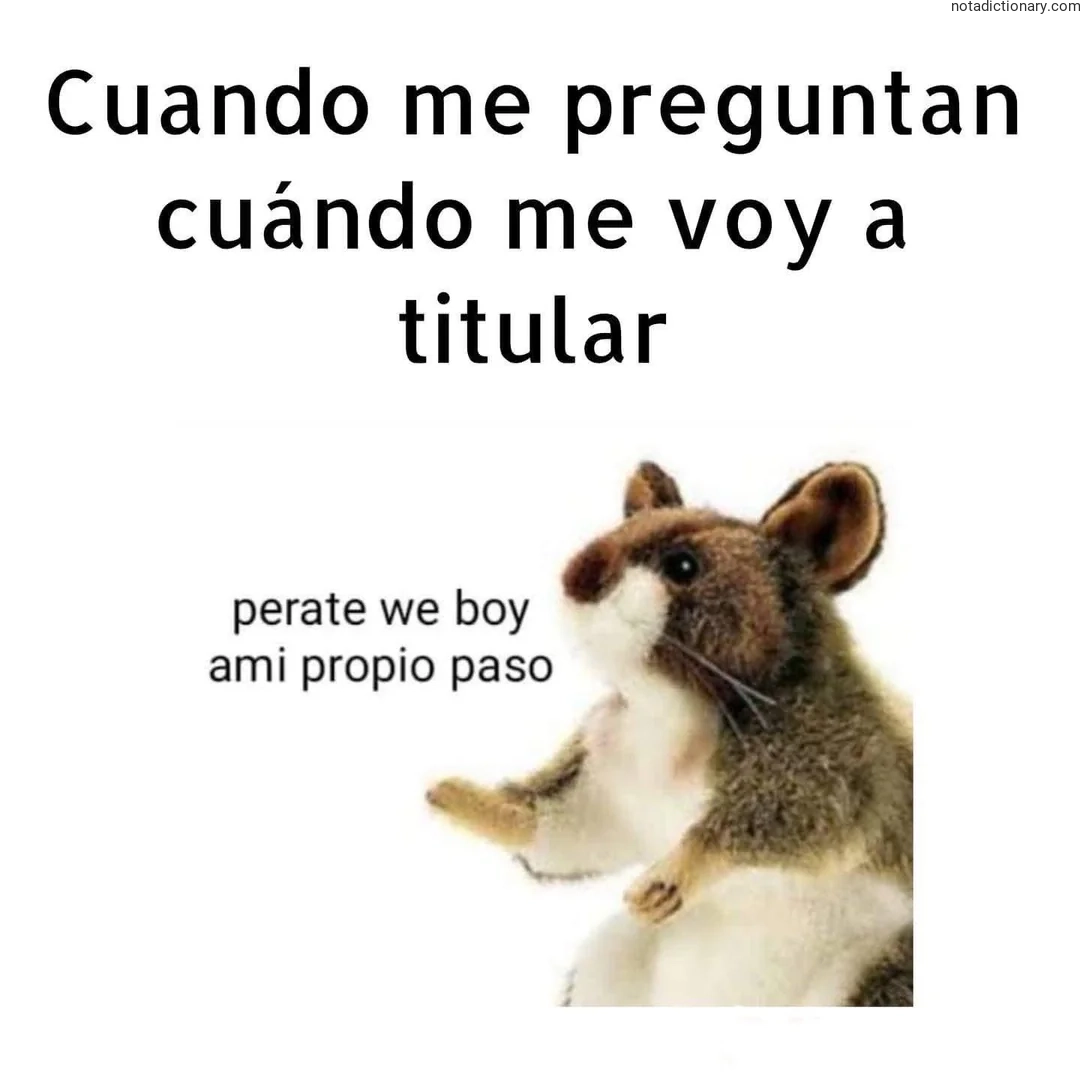Learn Spanish With Memes: Cuándo Me Voy a Titular